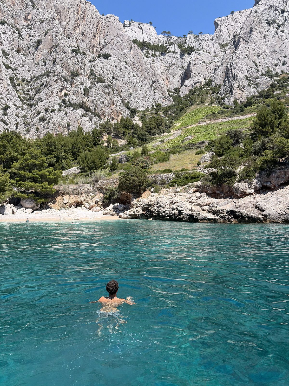 Ben Nisevich swimming in a cove below limestone cliffs